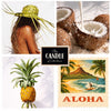 Aloha Shot soy candle, the candle kitchen. Collage of tropical-themed images including a person with a hat, coconuts, a pineapple, and a retro Aloha Stamp