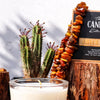 Amber Road Soy Candle The Candle kitchen, A creamy white Candle. The Candle Kitchen box standing on a red wood log surrounded by amber stones and a cactus plant in the background.