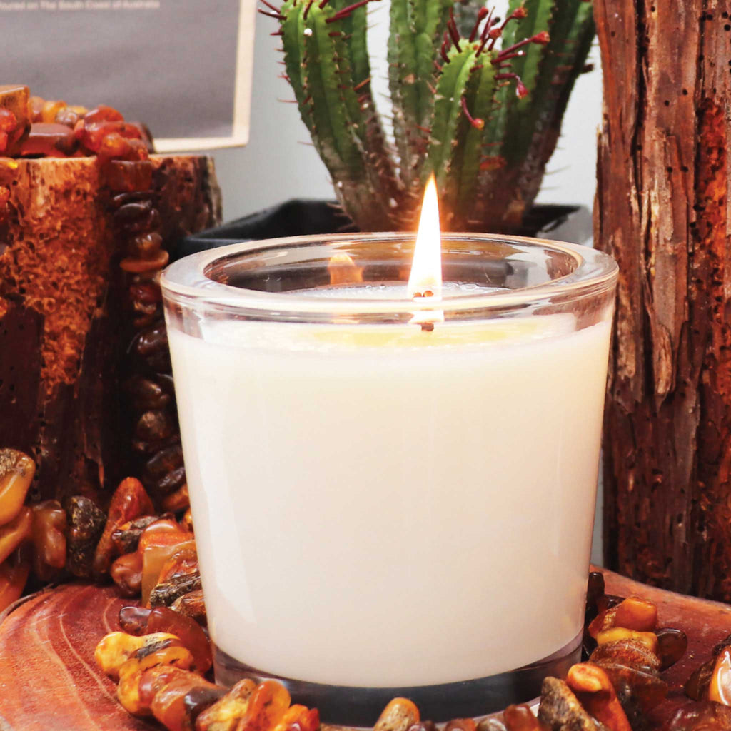 Amber Road Candle in a glass holder with a flickering flame and green cactus in the background.