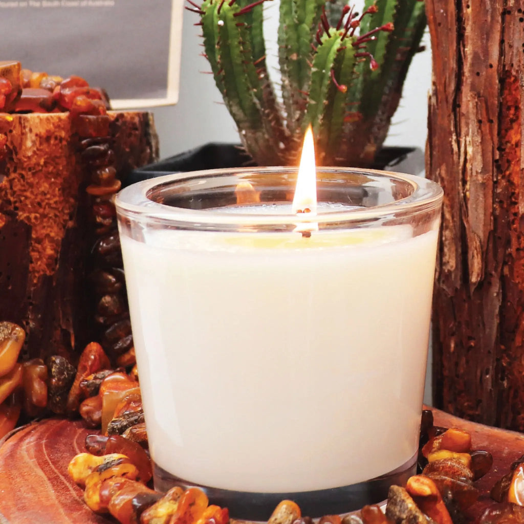 Amber Road Candle in a glass holder with a flickering flame and green cactus in the background. 