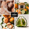 Citrus Grove handmade soap the candle kitchen , hands washing with bubbles , close up of Mandarins and bergamots. set in a story board