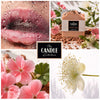 Desert Rose handmade soap story board, geranium, red clay, lemon myrtle and wet lips.