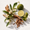 Escarpment soy candle fragrance elements. A styled flat-lay of a natural herbal blend featuring a whole and sliced green Bergamot fruit, white blossoms on a stem, brown bark pieces, and small cinnamon sticks, arranged on a textured white background with soft shadows. from the candle kitchen