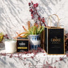 Escarpment Soy Candle and packaging from 'The Candle Kitchen' with decorative plants on a textured surface.