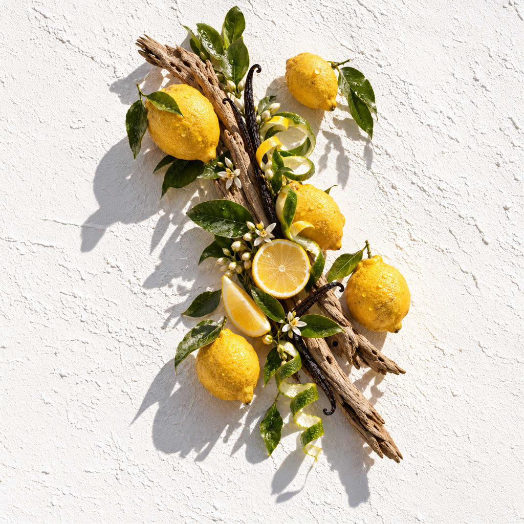 A styled flat-lay of lemons, white flowers, green leaves, and dark vanilla beans arranged on a rustic branch against a textured white background. all elements from Lemoncello Soy Candle from the Candle Kitchen