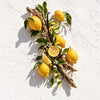 A styled flat-lay of lemons, white flowers, green leaves, and dark vanilla beans arranged on a rustic branch against a textured white background. all elements from Lemoncello Soy Candle from the Candle Kitchen