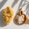A natural yellow bath Mediterranean sea sponge next to a wooden spoon filled with exfoliating salt scrub, set on a textured white surface with soft leaf shadows.