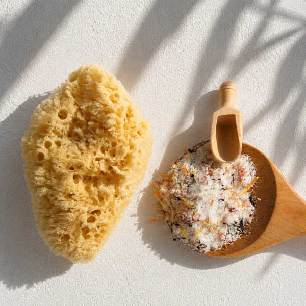 A natural yellow bath Mediterranean sea sponge next to a wooden spoon filled with exfoliating salt scrub, set on a textured white surface with soft leaf shadows.