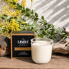South Coast Soy Candle The Candle kitchen, Candle in a glass holder with a 'The Candle Kitchen' box and yellow flowers on a wooden surface.