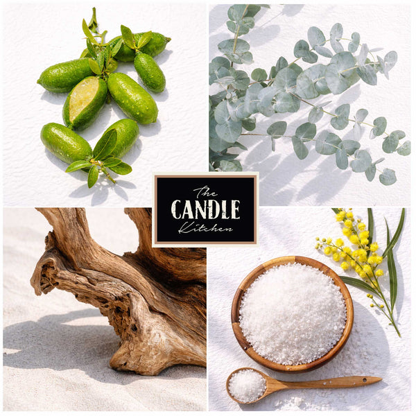 South Coast soy candle, The Candle Kitchen. Collage of natural elements with 'The Candle Kitchen' branding. Fresh & Coastal