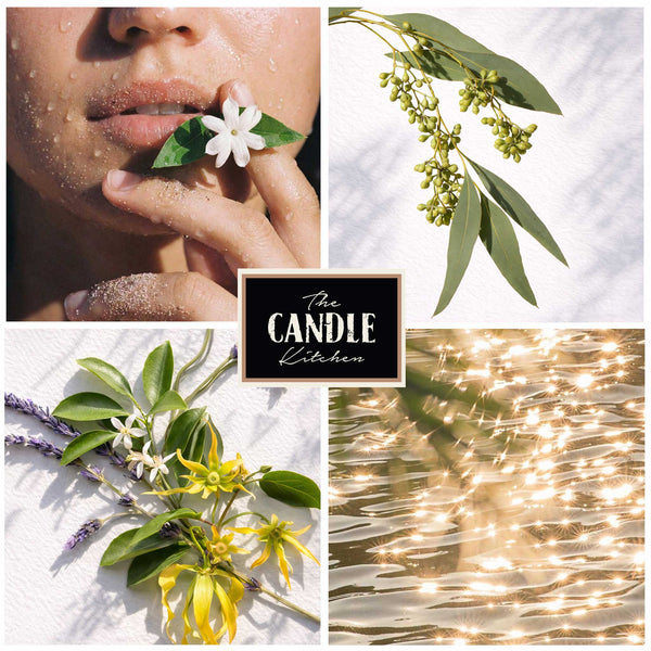 Splendour soy candle , the candle kitchen, Collage of a person wet with jasmin flower, Gum tree greenery, and water , fresh and coastal