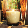 a close up of a Candle with a bamboo retro table light , and a green cactus pot plant on the side. 