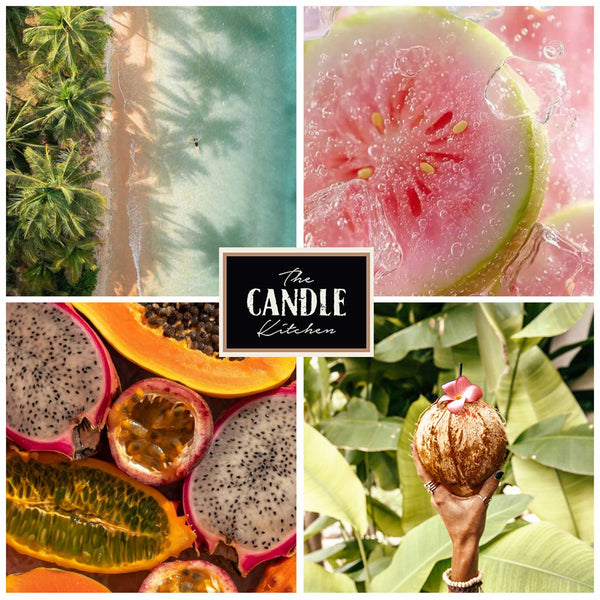 Tiki Island soy candle the candle kitchen, guava, coconut trees and juicy fruit all displayed in a story board format