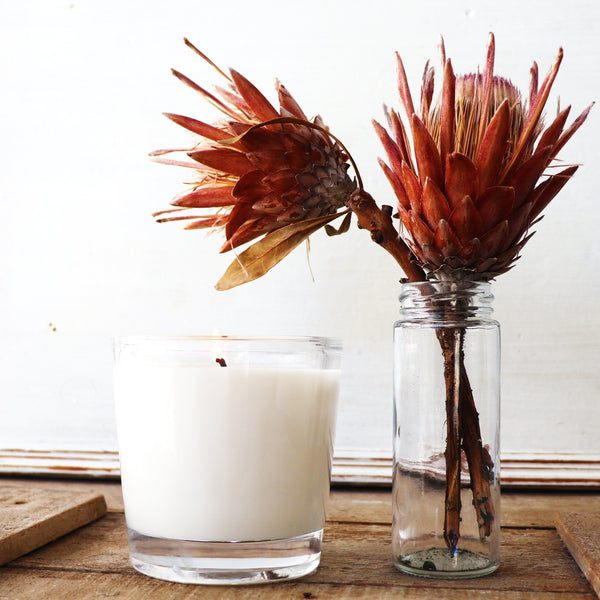 French Chai Candle in a clear thick glass with a dried Australian Flower from the Candle Kitchen